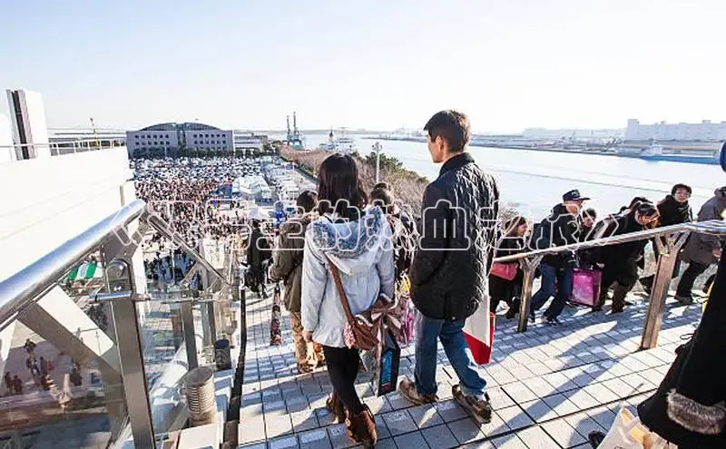 《双男主的热血之旅》